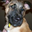 Gemma Cunningham - @xenoprincess - Twitter