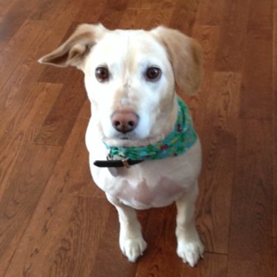 ShellyThorne1's profile picture. 