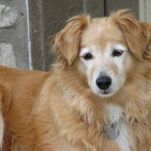 WaldoDelTaco's profile picture. 