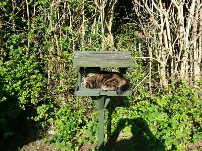 Product person, UK public sector. Opinions/RTs disclaimed. Things proved. Cats herded. Problems solved.