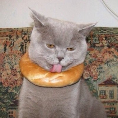 Totalsock4evr's profile picture. Coffee, music, gaming etc follow my instagram if you're not a square @HolyComputer x