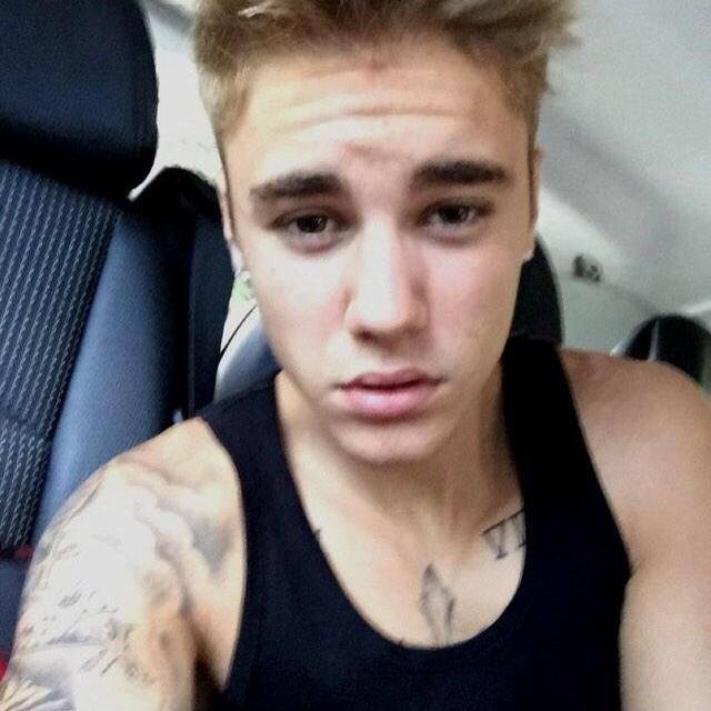 Belieber, Love Justin Bieber and One Direction , Demi Lovato