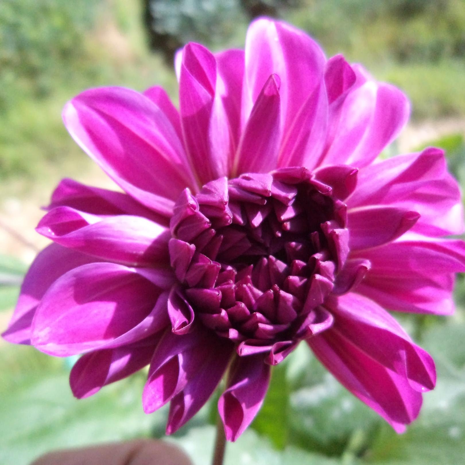 nda_niar's profile picture. Berpikir Positif, Senyum dan Semangaaat ^_^