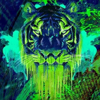 Information on shows/festivals throughout SC, NC and GA, as well as local events and carpool/camp networking. Growing our Clemson music scene. Go Tigers!