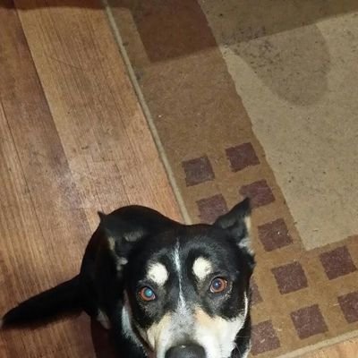 3c3000's profile picture. 