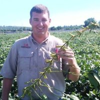 Ryan Van Roekel (@bean_doctor) 's Twitter Profile Photo Ryan Van Roekel (@bean_doctor) 's Twitter Profile Photo
