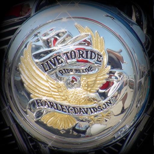 Ryder_Knightley's profile picture. Good girl with bad girl tendencies. Nonwriting writer courting insanity
#naughty #nice #RyderKnightley #NOLA
Love @inthecrescent @inthepantheon @rewrittenrealms