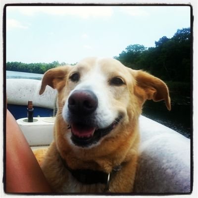 crystalwanders1's profile picture. 