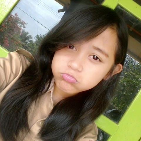 BRANDON NICHOLAS SALIM (Brandonator)