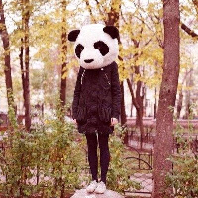 87line EXO×NU'EST ※テソン、ミナン、ベッキョン、ナムテ系ふぇいす せんいるはしぅちゃん