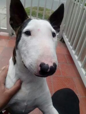 DanielDr47's profile picture. 