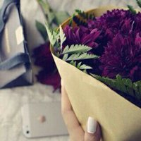 نوف الرويس (@noufalrwise) Twitter profile photo