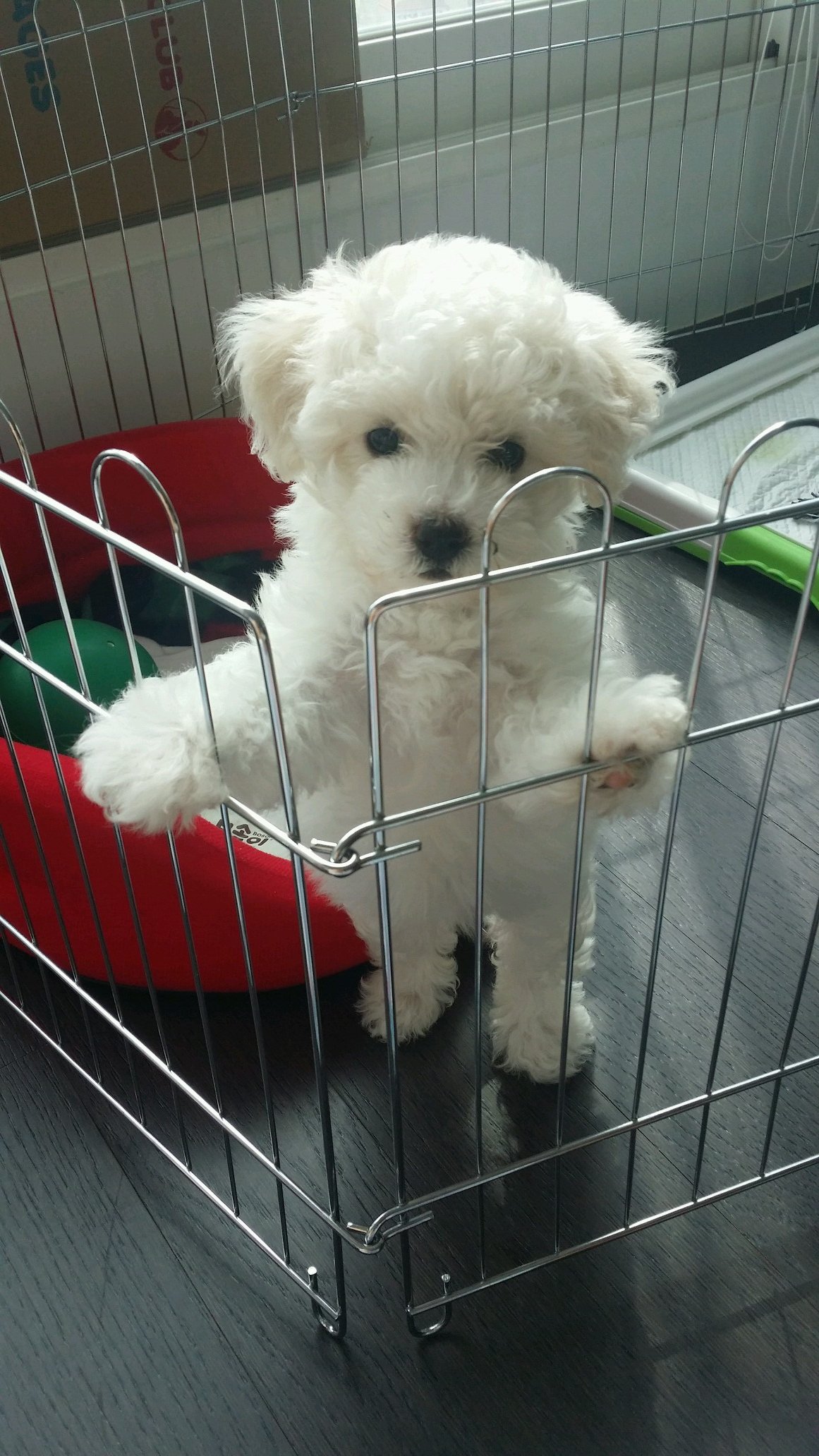 gutaewon's profile picture. 