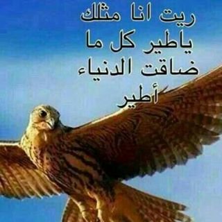 ‏طبيب قلوب