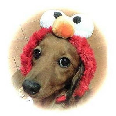 オヤジのカロ理ー