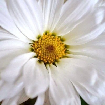 ConfessingHeart's profile picture. I am more than the amount of characters restricted in this bio. If you want to know, just ask.