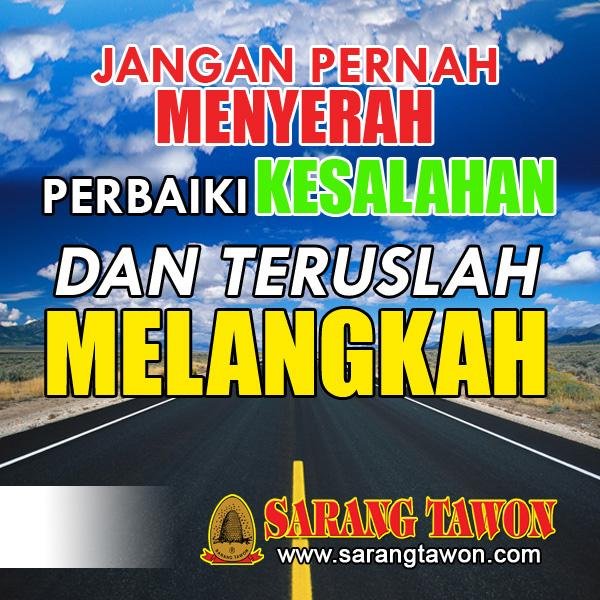 More Info tentang Produk Sirup Sarang Tawon atau ingin menjadi distributor silakan hub. 08126535935