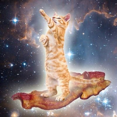 NiallsChick7's profile picture. narry is love, narry is life