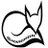 NoUsesPieles's profile image
