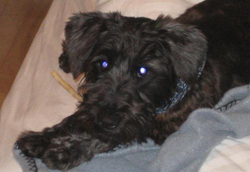i am feetzwheeliam, and has some nice toys.  like toys with noise box inside and string cheese snacks.  and love mommy.