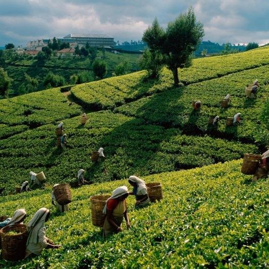 ayselingunlugu's profile picture. içimden geldiğin gibi gidiyorsun...