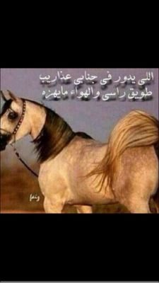 مات في حادث وانا مانسيته ياالله عسى من النار معتوق