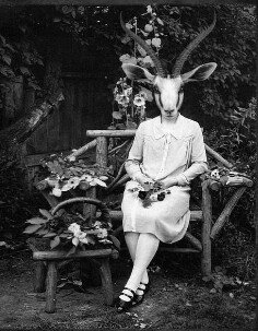 qtiat's profile picture. Mantente simple. Soy un árbol. Vivo al lado.