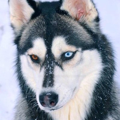 犬好き‼︎山下→石商2-3-9 Fpsが好きです笑 気軽にフォローしてください‼︎