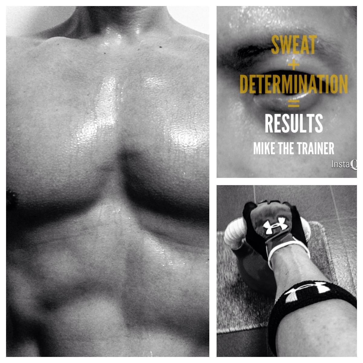 mikethetrainer1's profile picture. Hi! I'm a freelance personal trainer and I'm interested in all things health and fitness related. Look out for my tweets on the latest health and fitness news!