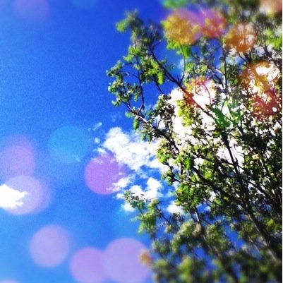 Pedro_Mc_2014's profile picture. 