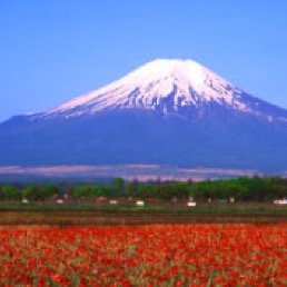 日本国内の、一度はこの目に焼き付けたい美しい日本の風景をツイートしていきます！是非和んで下さい。気に入った風景はRT＆フォローお願いします。