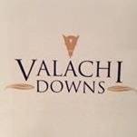 Valachi1's profile picture. Valachi Downs Stud is one of New Zealand’s leading thoroughbred nurseries. Breeding and raising racehorses for all to enjoy 🐎🐎🐎🏆🏆🐎🐎🐎