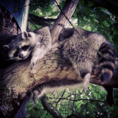 Selten laut und meist recht stumm häng ich hier recht häufig rum. 
Fällt mir was ein, ist's oft zu spät. Das führt zur Leere, die ihr seht.