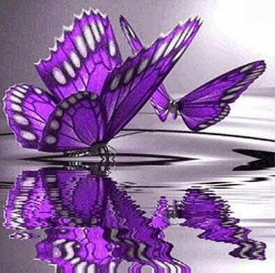 SuzanneZody's profile picture. 