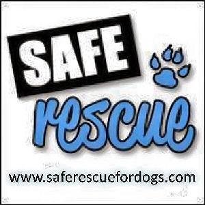 http://t.co/7zDX8YyArp to find about Safe Rescue