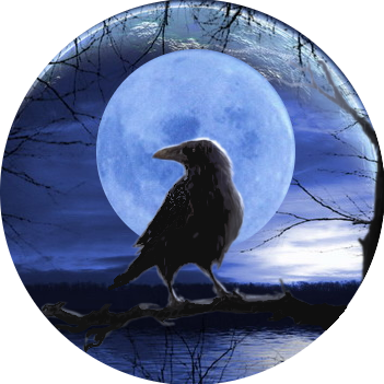 kylechine's profile picture. A full-stack developer and technical writer.