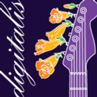 digitalis (@digitalis) 's Twitter Profile