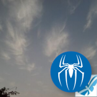 On the beach (@tomsurlaplage) 's Twitter Profile Photo