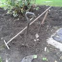 Adrian Ellis - @Ae666Ellis - Twitter