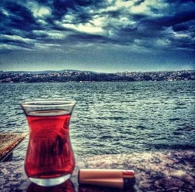 ZeynepF24137418's profile picture. 