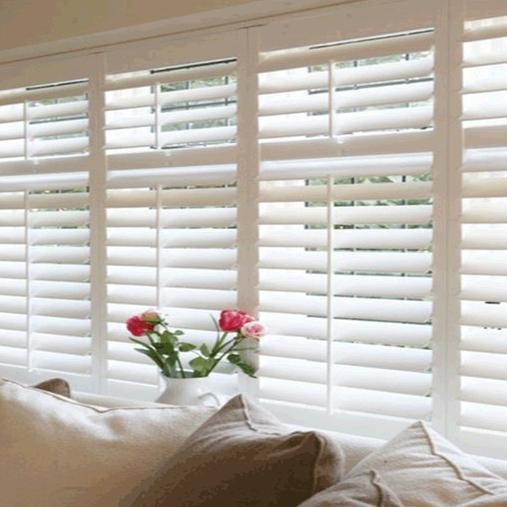 Ada1186's profile picture. 