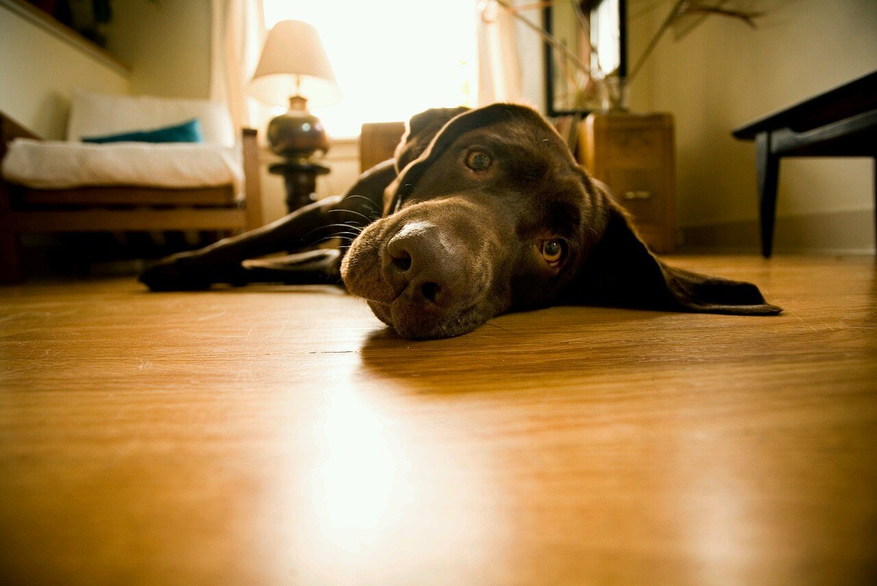 locurashabladas's profile picture. palabras que acarician mis neuronas, palabras que atraviesan mi alma