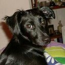 Rita Mauricio - @rita_mauricio - Twitter