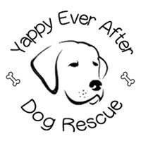 Small, friendly, foster-based dog rescue helping UK and overseas dogs find their Yappy ever after. UK Registered Charity 1163969