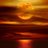 Isabel_n_g's profile image
