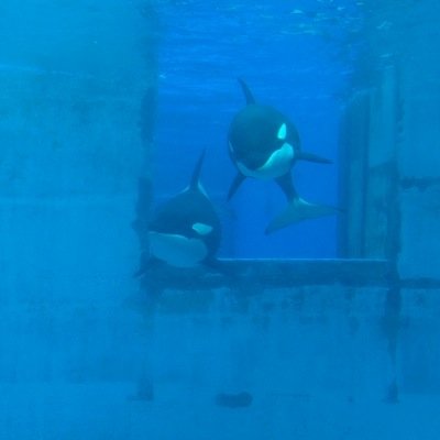 読書好きです。読んだ本のこととか、気になる本屋さんのこととか。ほんのり日常。