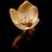 Marfa_Alraheel's profile image