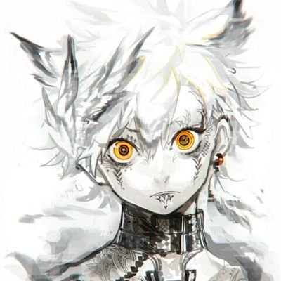 主にbo2やってます。野良混合用垢です。ボツ関係の方フォローさせて頂きます！マイクラやってたら遠慮なくジョインします♪