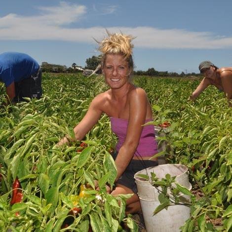 Are you looking for Staff on your farm? Contact us we have a huge pool of ready workers.