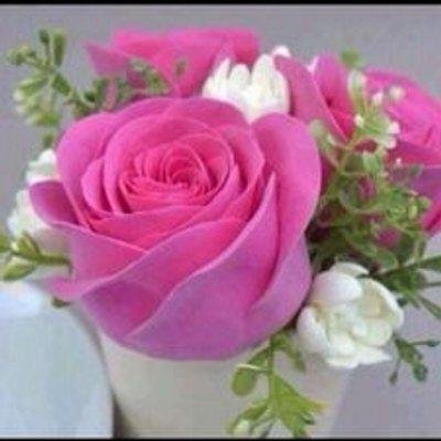 sh111sh1111 Profile Picture
